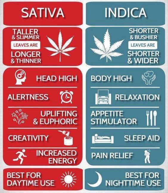 14572279_10155974897441959_1025216610435571990_n