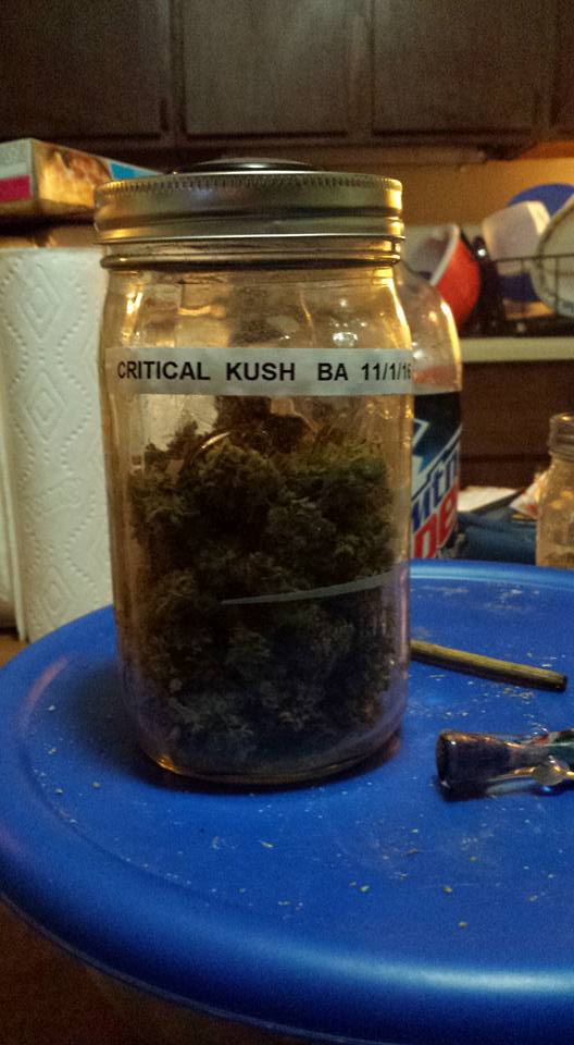 critical-kushz-jar