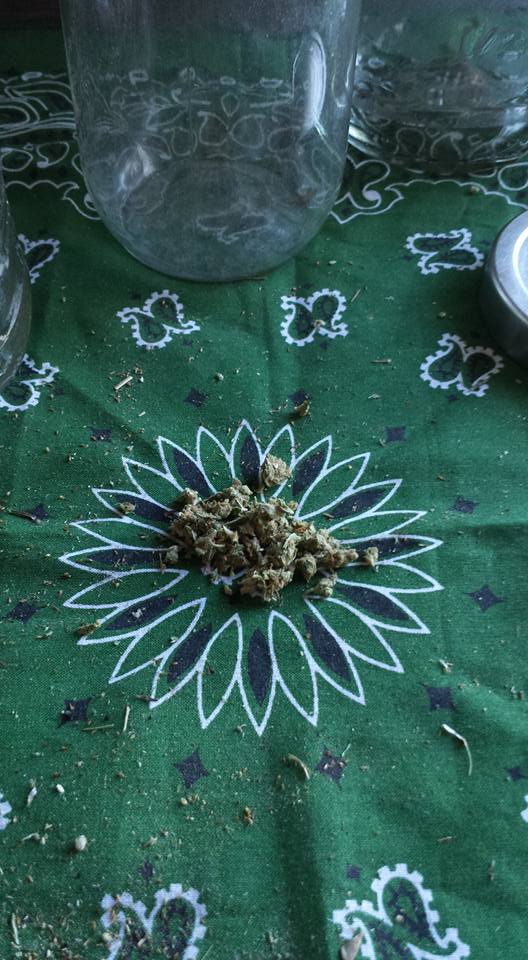 15390757_1854663278102296_6250402717577737502_n