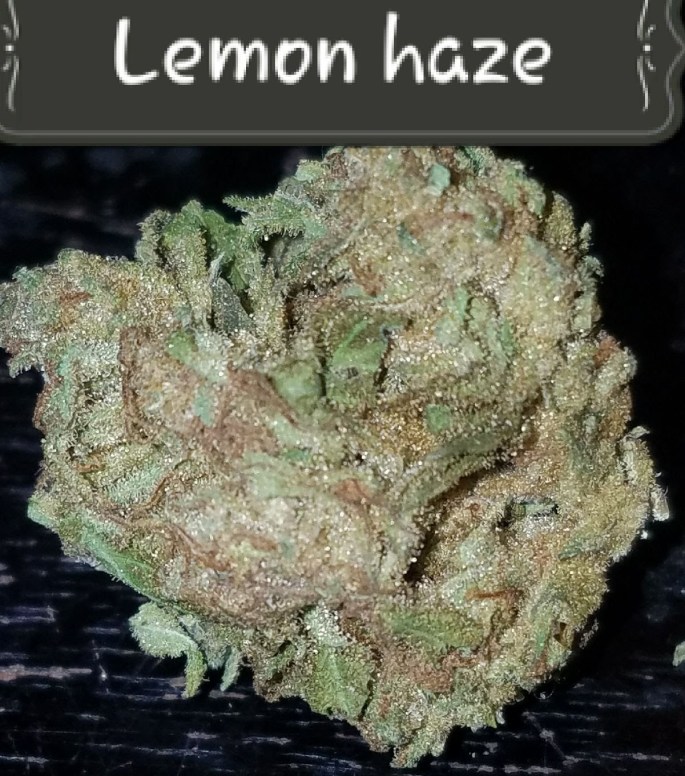 Lemon Haze