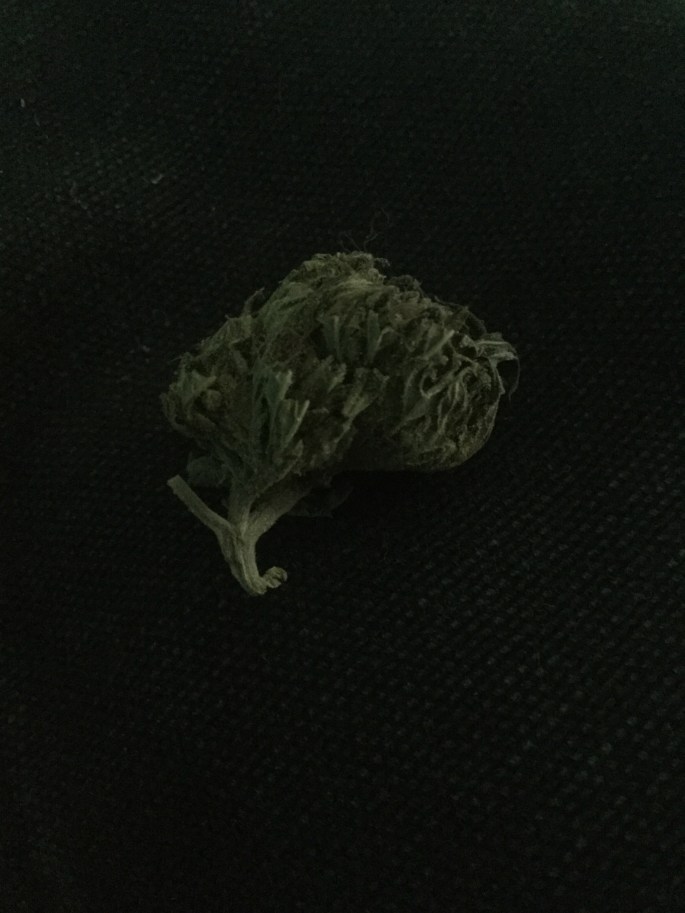 69ABE931-FA6A-4273-AFA0-26DBE2584D8E